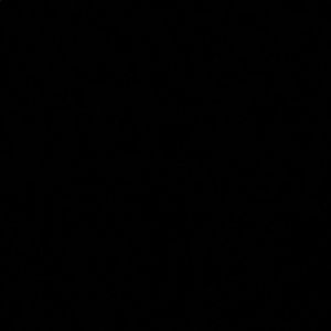 Meet your Posher, Elif